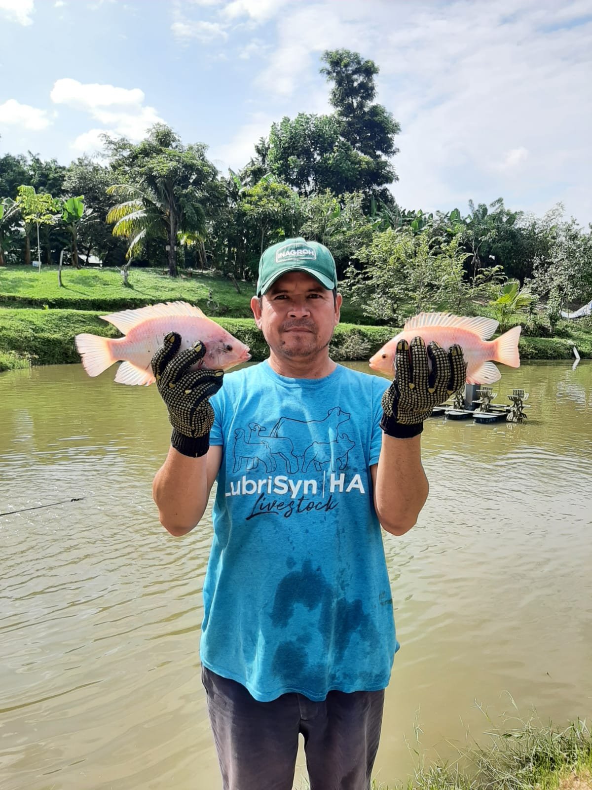 Programa de Certificación de Buenas Prácticas Ambientales