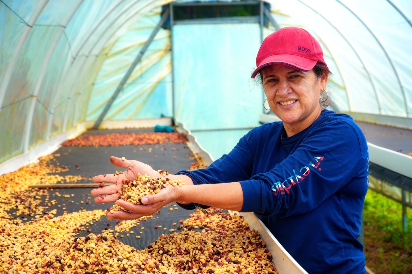 Programa de Exportación e Importación Verde