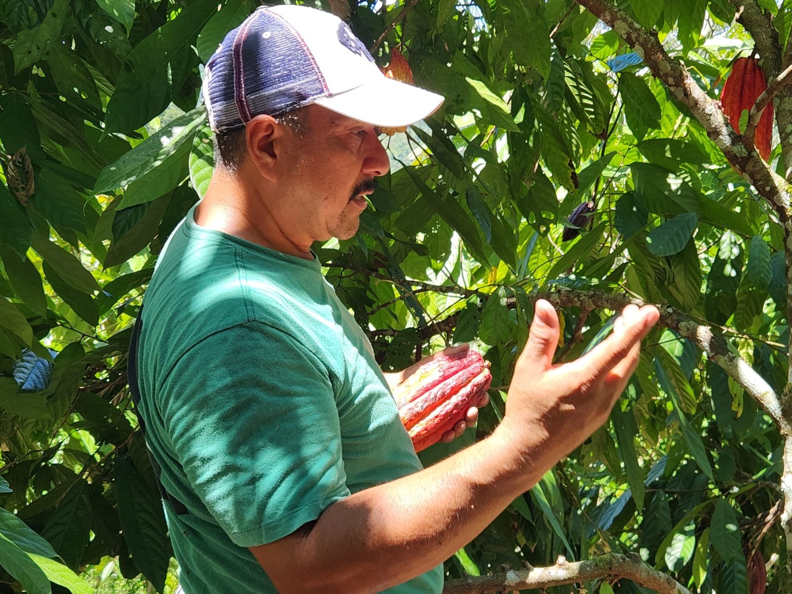 Programa de Innovación Tecnológica Ambiental